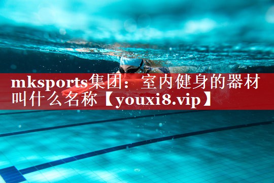 mksports集团：室内健身的器材叫什么名称