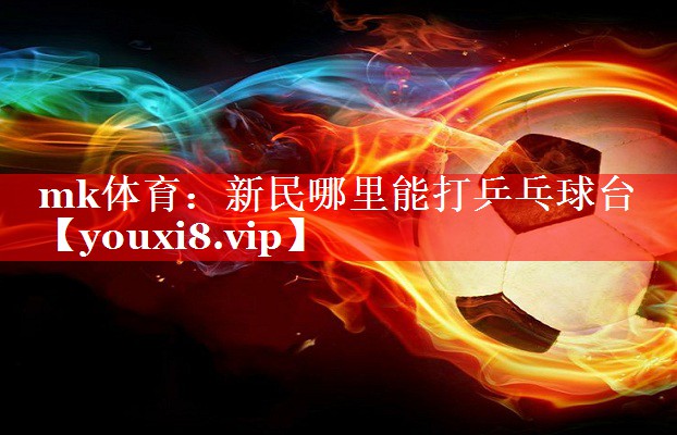 mk体育：新民哪里能打乒乓球台
