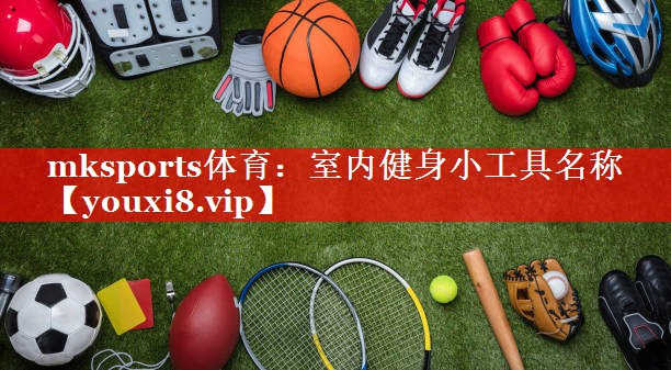 mksports体育：室内健身小工具名称