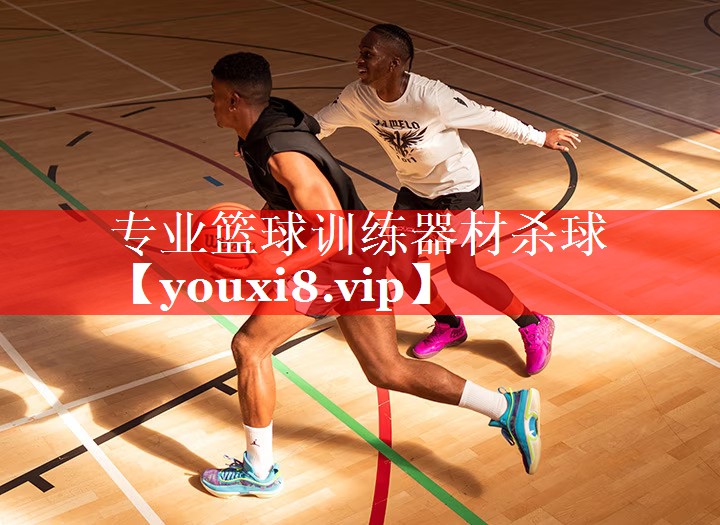 专业篮球训练器材杀球