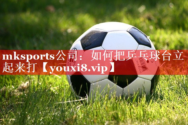 mksports公司：如何把乒乓球台立起来打