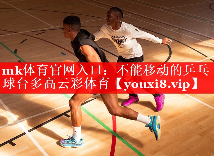 mk体育官网入口：不能移动的乒乓球台多高云彩体育
