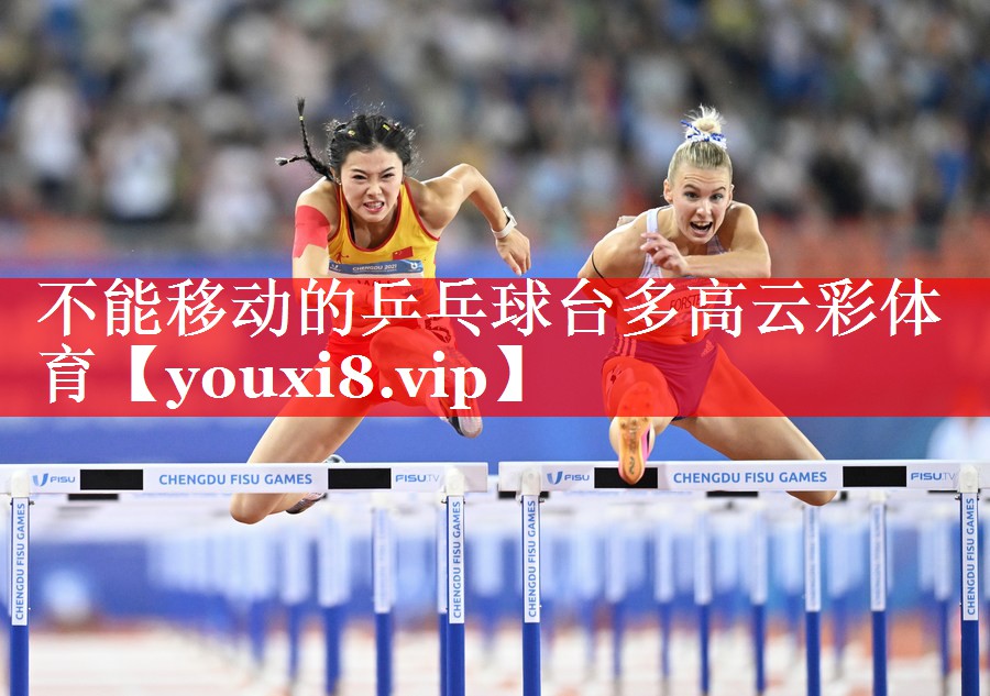 不能移动的乒乓球台多高云彩体育