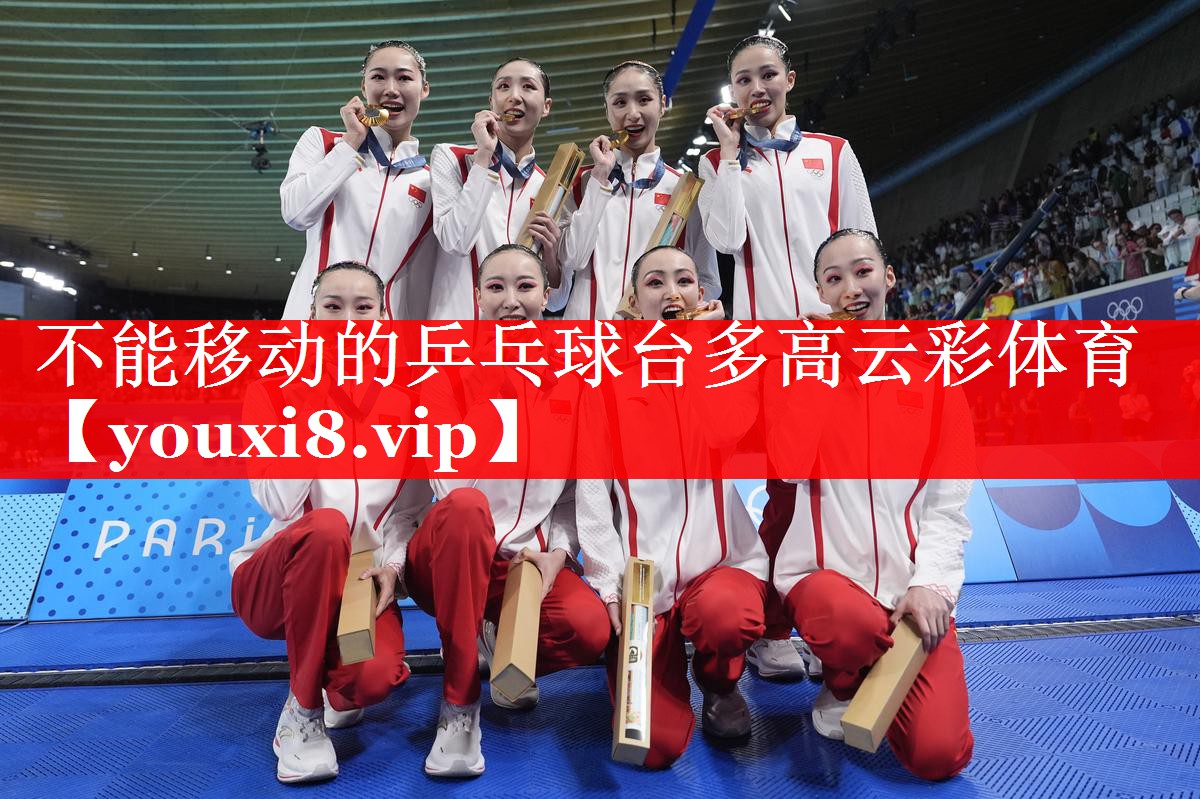 不能移动的乒乓球台多高云彩体育