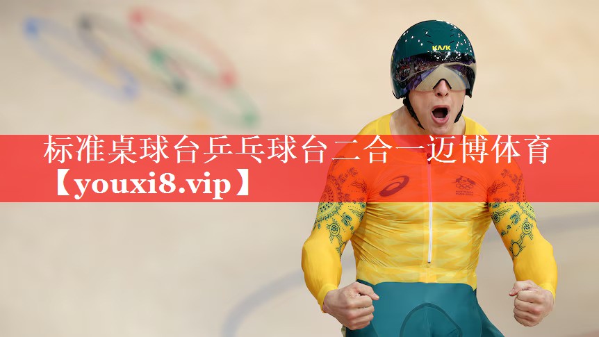 标准桌球台乒乓球台二合一迈博体育