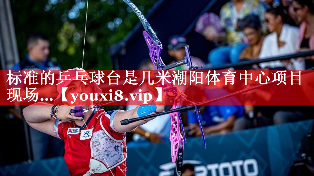 标准的乒乓球台是几米潮阳体育中心项目现场…