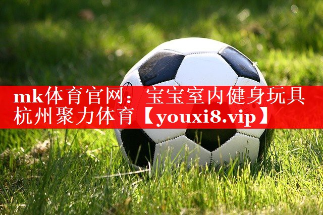 mk体育官网：宝宝室内健身玩具杭州聚力体育