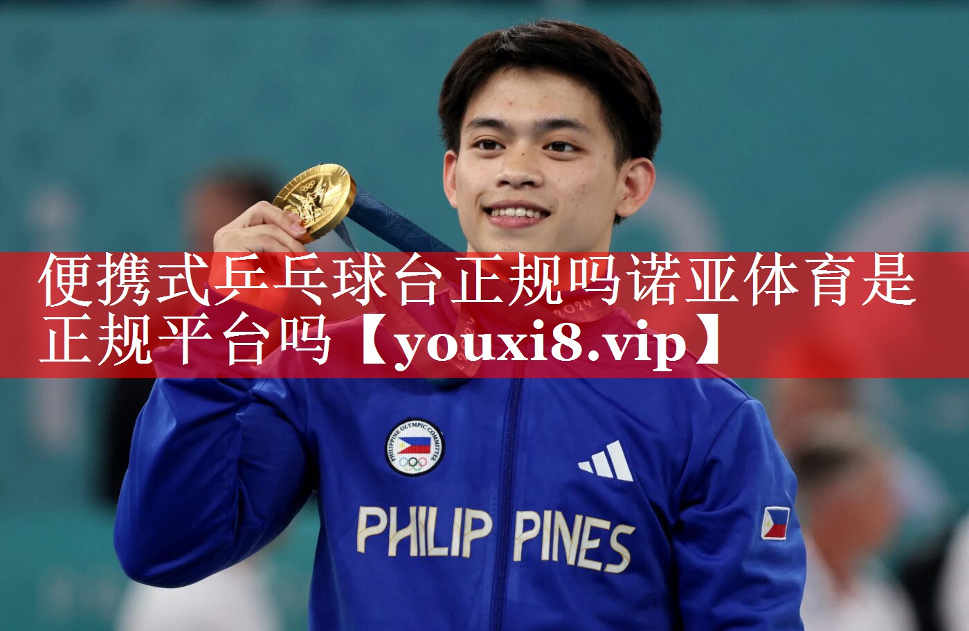 便携式乒乓球台正规吗诺亚体育是正规平台吗