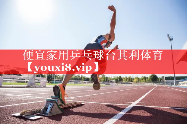 便宜家用乒乓球台其利体育