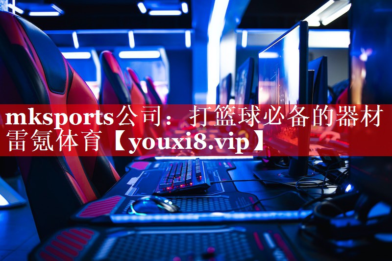 mksports公司：打篮球必备的器材雷氪体育