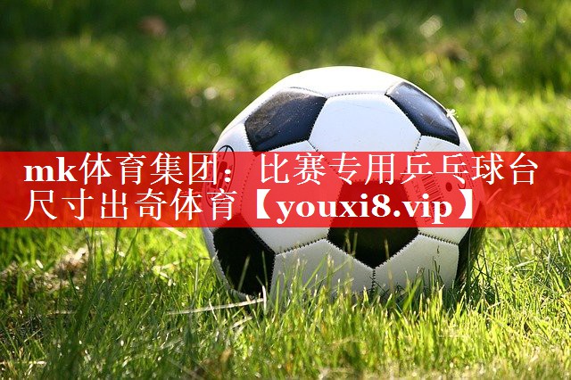 mk体育集团：比赛专用乒乓球台尺寸出奇体育