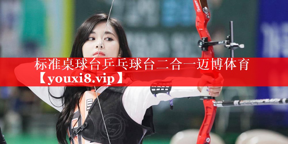 标准桌球台乒乓球台二合一迈博体育