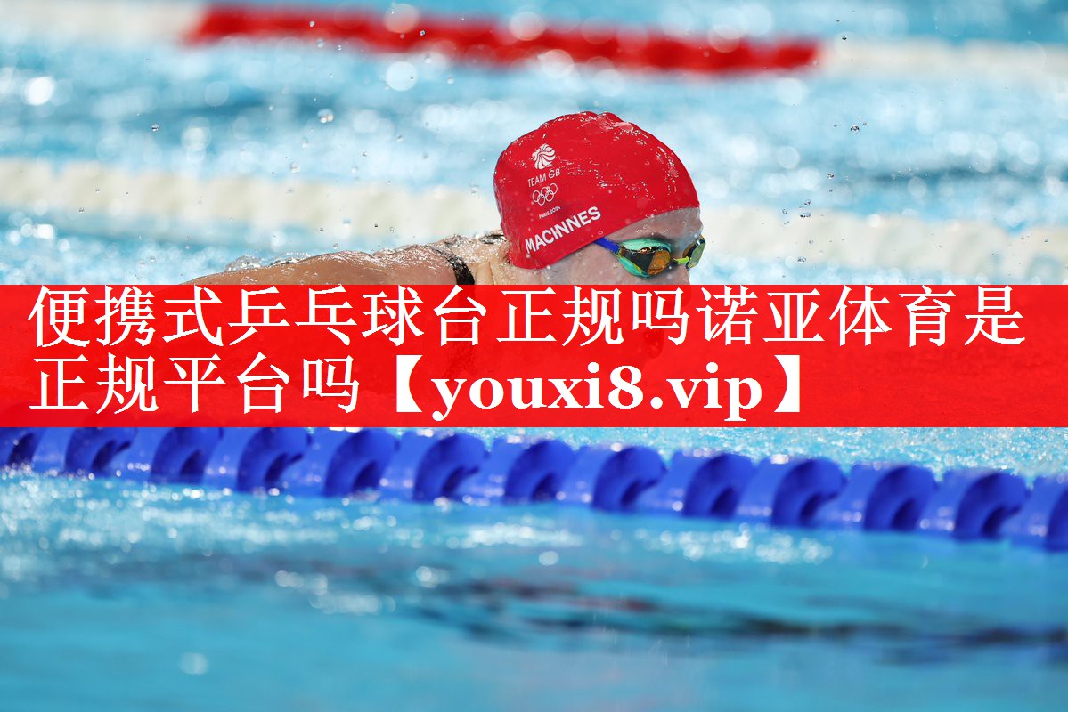便携式乒乓球台正规吗诺亚体育是正规平台吗