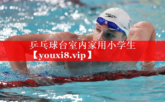 乒乓球台室内家用小学生 乒乓球台室内家用小学生