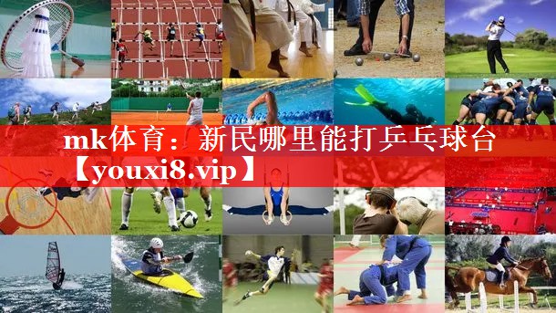 新民哪里能打乒乓球台 新民哪里能打乒乓球台