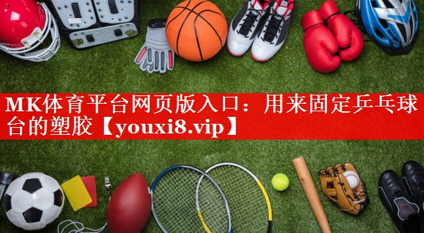 用来固定乒乓球台的塑胶 用来固定乒乓球台的塑胶
