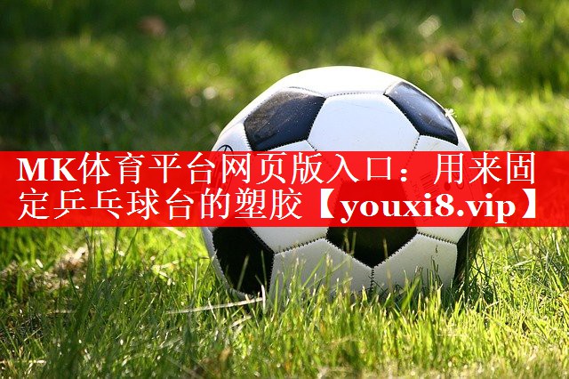 用来固定乒乓球台的塑胶 用来固定乒乓球台的塑胶