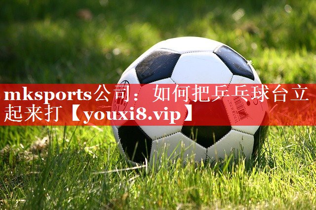如何把乒乓球台立起来打 如何把乒乓球台立起来打